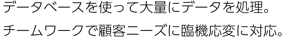 データベースを使って大量にデータを処理。チームワークで顧客ニーズに臨機応変に対応。