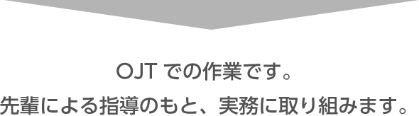 OJTでの作業です。先輩による指導のもと、実務に取り組みます。